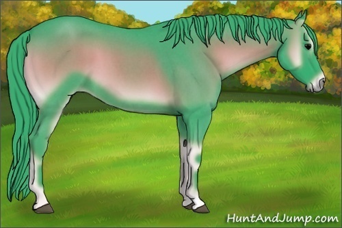 Horse Color:Watercolor Blue Onyx Roan