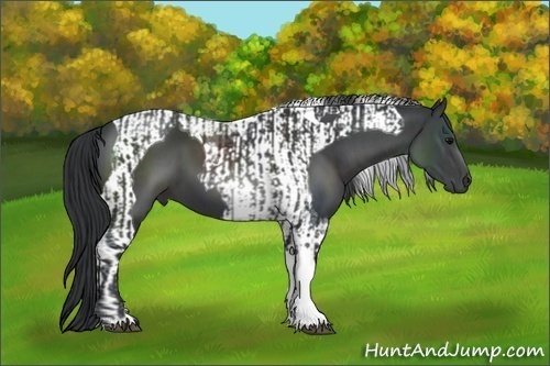Horse Color:Black Tobiano  and Black Tobiano 