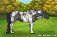Horse Color:Black Tobiano  and Black Tobiano 