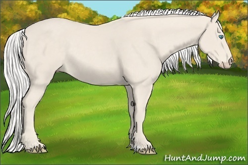 Horse Color:Silver Smoky Creme 