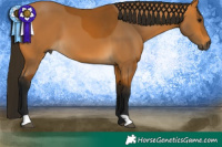 Horse Color:Gray Buckskin