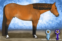 Horse Color:Gray Buckskin