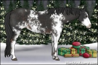 Horse Color:Liver Chestnut Sabino