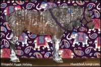 Horse Color:White Spotted Brown Appaloosa  and Buckskin Tobiano 