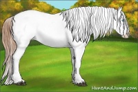Horse Color:Bay Pearl Dun Snowflake VarnishRabicano