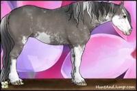 Horse Color:Black Sabino Rabicano