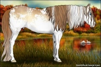 Horse Color:White Spotted Red Onyx Splash