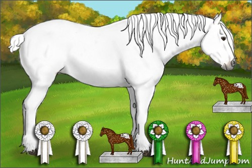 Horse Color:Gray Red Roan Snowcap 