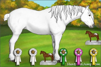 Horse Color:Gray Red Roan Snowcap