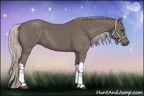 Horse Color:Silver Black 