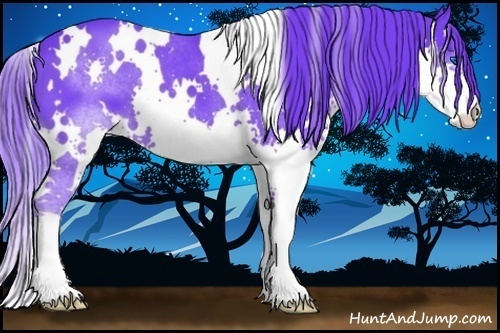 Horse Color:Watercolor White Spotted Black Splash 