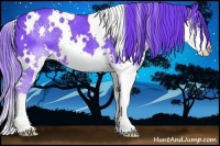 Horse Color:Watercolor White Spotted Black Splash
