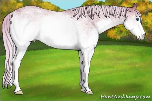 Horse Color:Watercolor White Spotted Chocolate Palomino Splash 