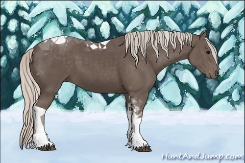 Horse Color:Silver Black Sabino Tobiano