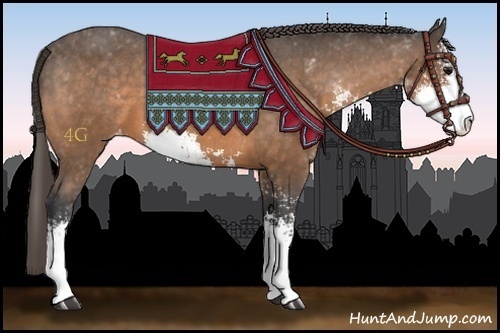 Horse Color:Buckskin Sabino Appaloosa 