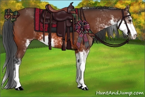 Horse Color:Bay Sabino 