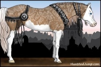 Horse Color:Chocolate Palomino Ice Splash 