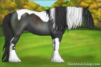 Horse Color:Black Sabino Tobiano 