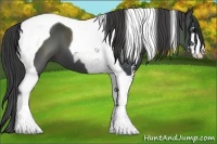 Horse Color:Smoky Black Sabino Tobiano