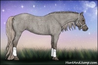 Horse Color:Silver Blue Roan 