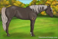 Horse Color:Silver Black 