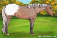 Horse Color:Silver Bay Snowcap 