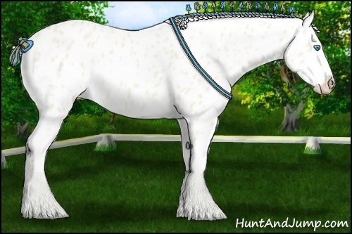 Horse Color:Cremello Appaloosa 