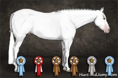 Horse Color:Gray Sable Champagne 