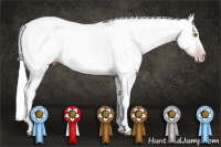 Horse Color:Gray Sable Champagne 