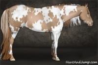 Horse Color:White Spotted Liver Chestnut Pearl Frame 