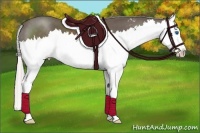 Horse Color:Silver Black Sabino Splash 
