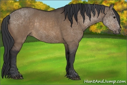 Horse Color:Bay Dun Rabicano 