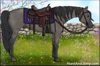 Horse Color:Grullo Rabicano 