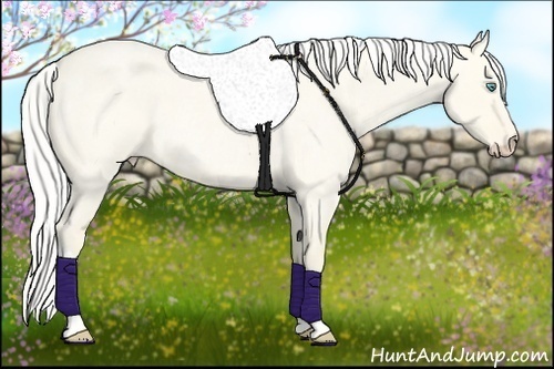 Horse Color:Silver Perlino Roan Dun Tobiano 