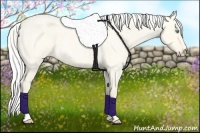 Horse Color:Silver Perlino Roan Dun Tobiano 