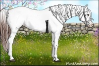 Horse Color:Bay Roan Varnish