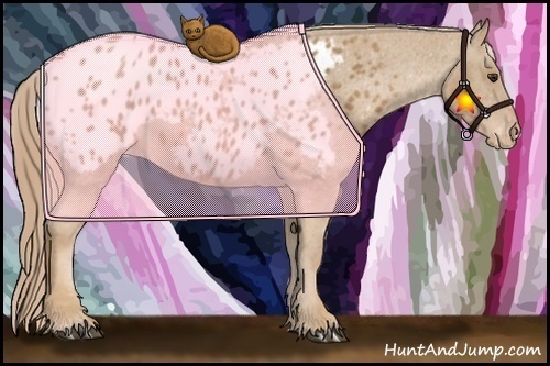 Horse Color:Chestnut Blanket 