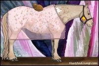 Horse Color:Chestnut Blanket 
