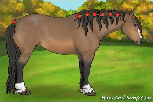 Horse Color:Buckskin Sabino 