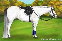Horse Color:White Spotted Bay Splash 
