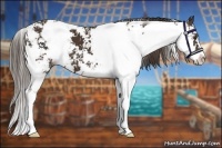 Horse Color:Liver Chestnut Sabino 