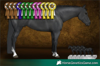 Horse Color:Black Tobiano 