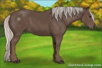 Horse Color:Silver Black 