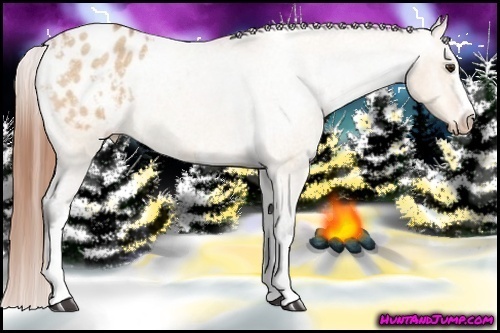 Horse Color:White Spotted Bay Roan Dun Varnish Rabicano