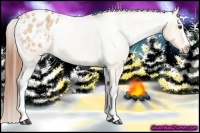 Horse Color:White Spotted Bay Roan Dun Varnish Rabicano 