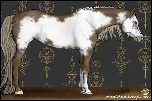 Horse Color:Chocolate Palomino Frame