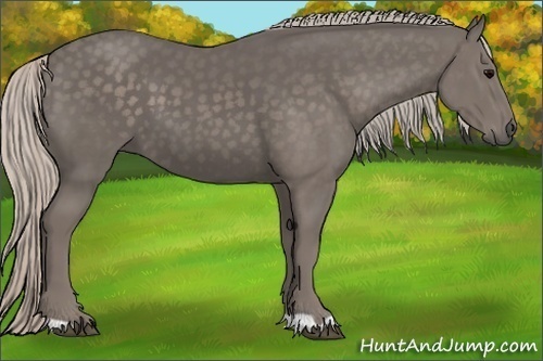 Horse Color:Silver Black 
