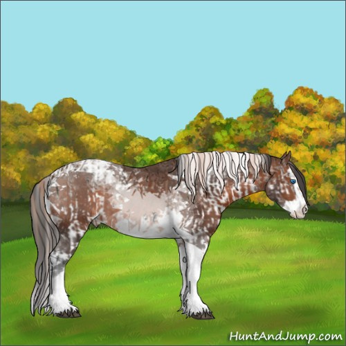 Horse Color:Liver Red Onyx Ice Pearl Splash Tobiano Rabicano  and Brown Splash Tobiano Rabicano 