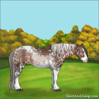 Horse Color:Liver Red Onyx Ice Pearl Splash Tobiano Rabicano  and Brown Splash Tobiano Rabicano 