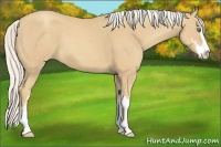 Horse Color:Silver Classic Cream Champagne Sabino